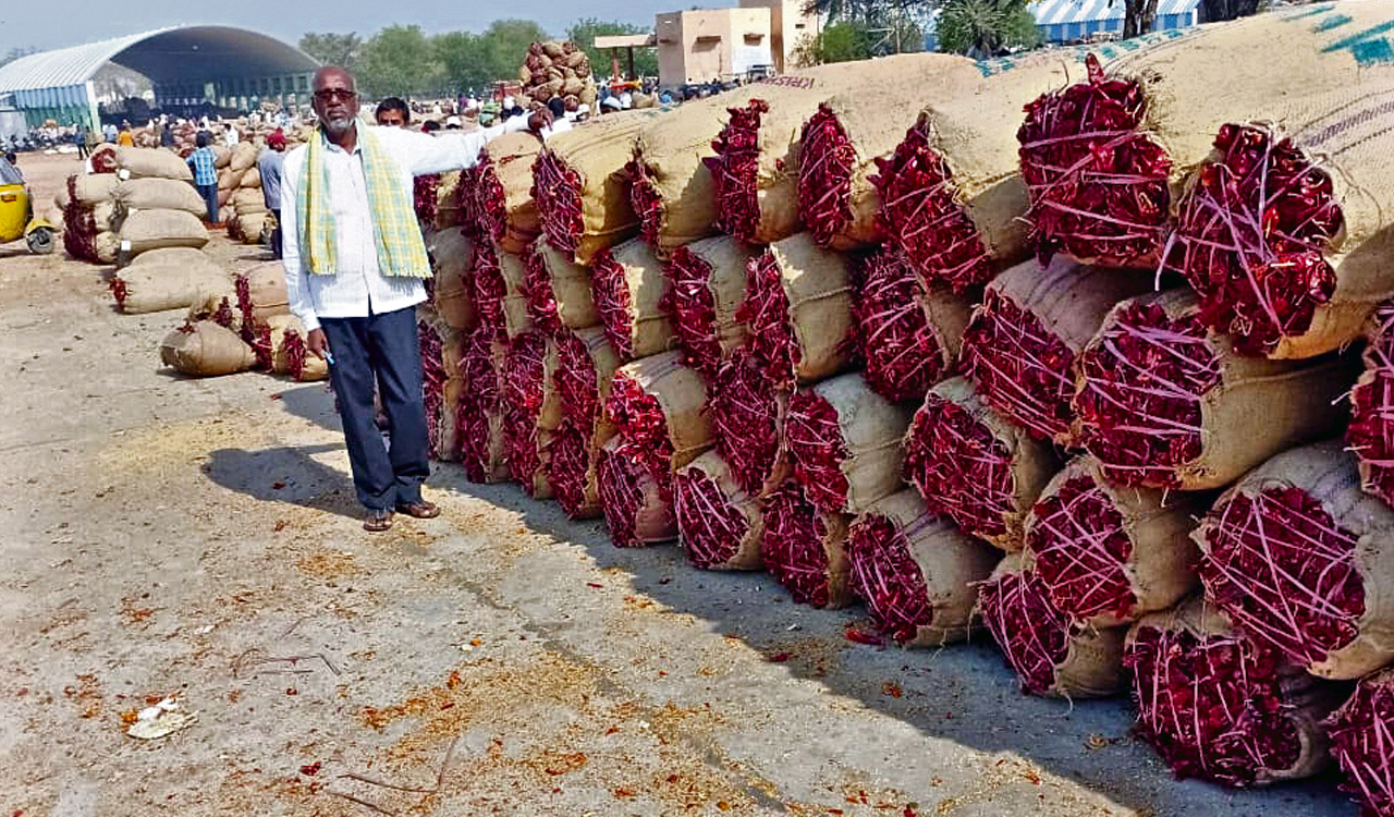 Telangana: SERP sets target to procure 20,000 MTs of red chilli