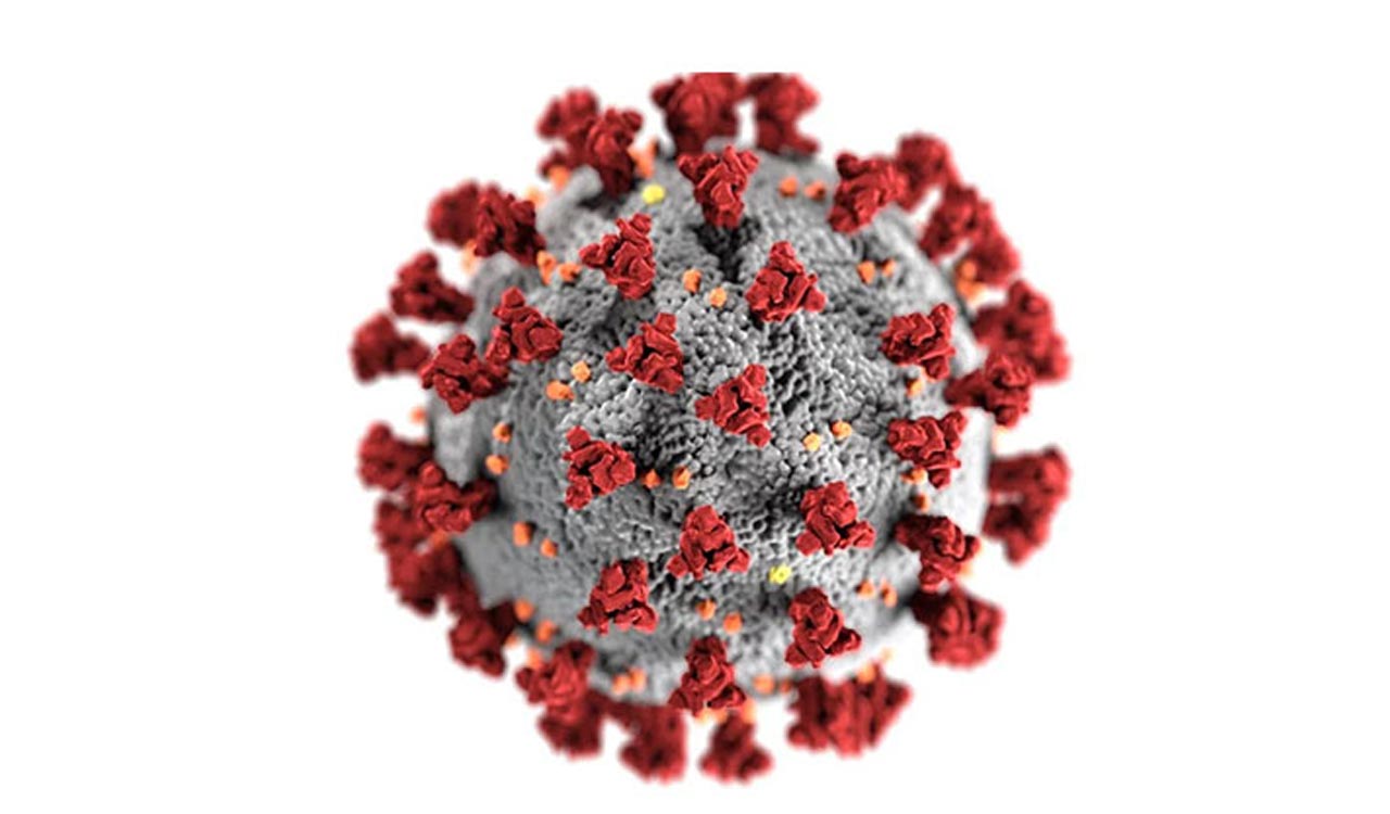 Research finds that viruses may have ‘eyes and ears’ on us