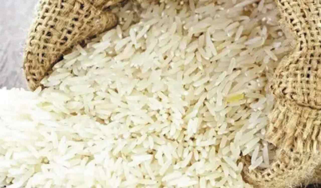20% duty on non-basmati rice variants will hit exports: FTCCI