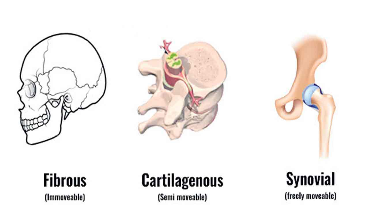 Join the dots between joints and disorders