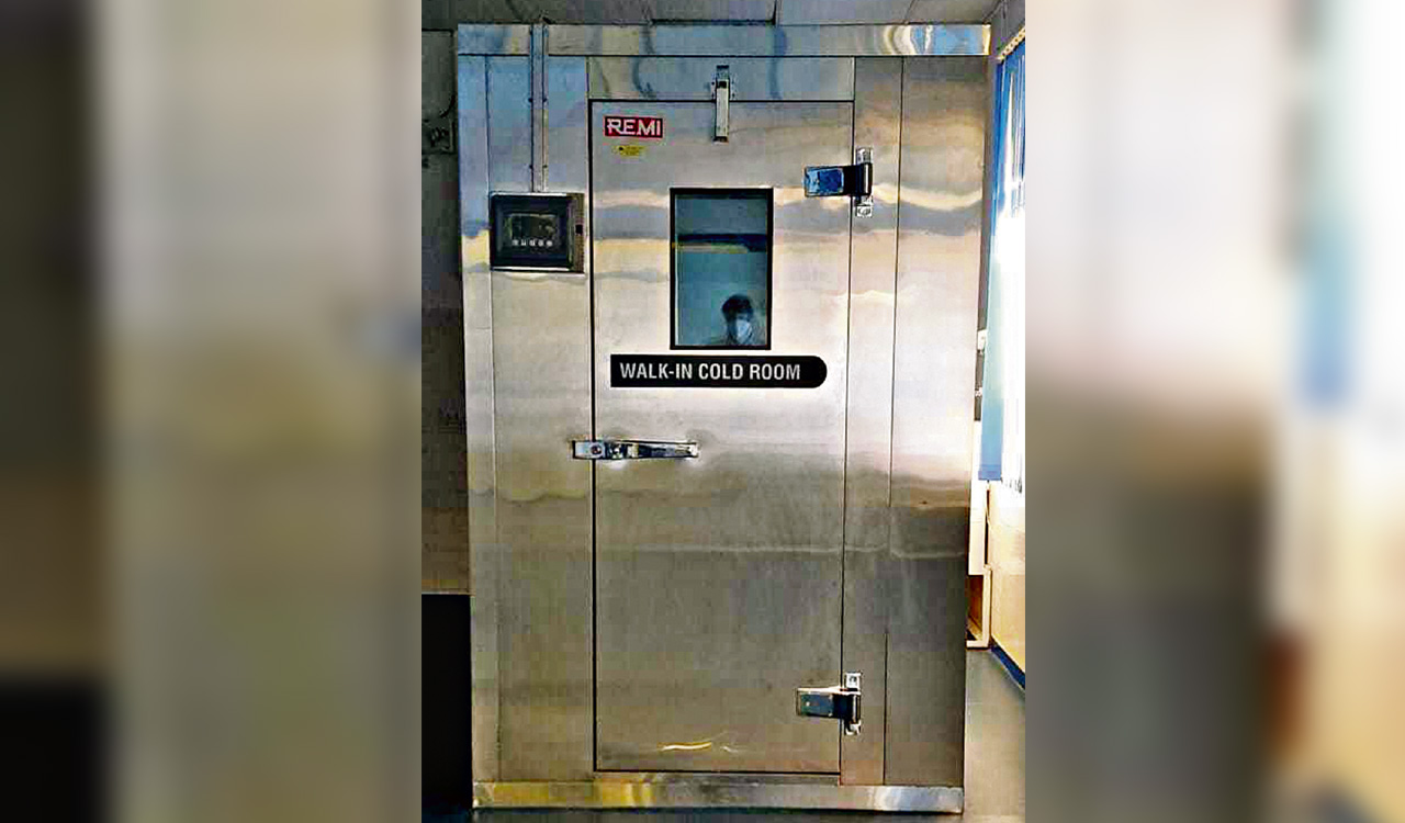 Health and Tech: Skin grafts to save lives of third degree burn patients