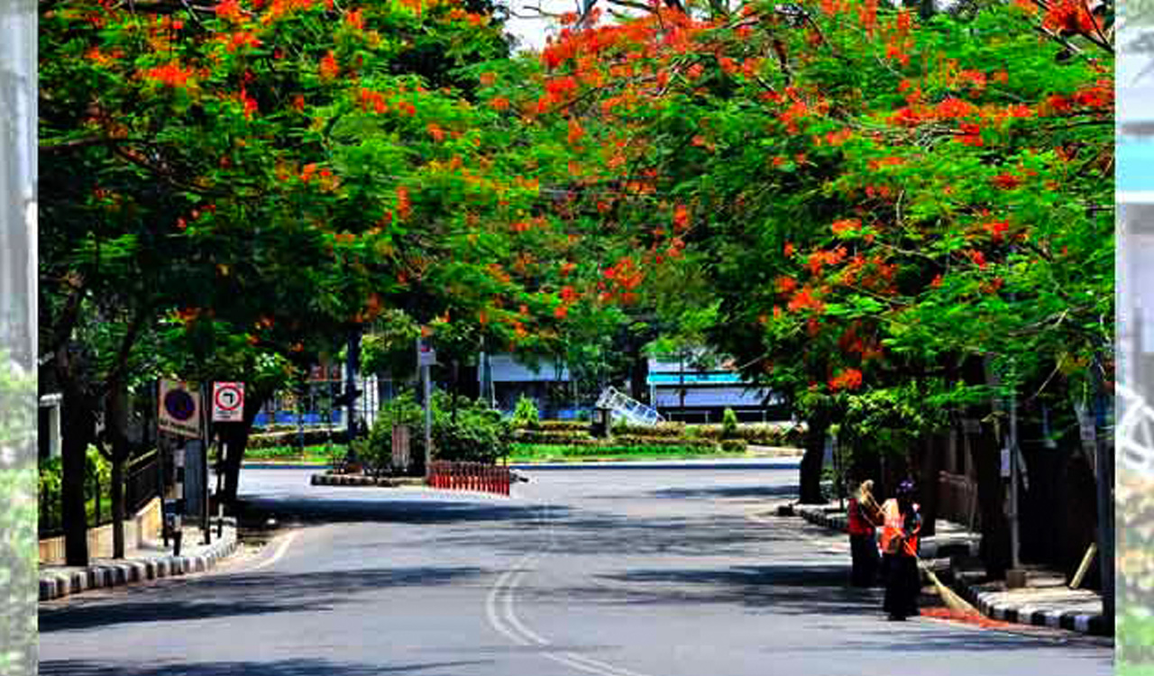 Swachh Bharat Mission: Telangana ranked first in large States category