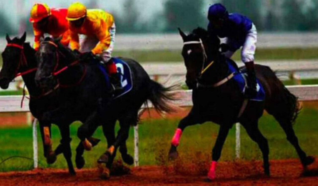 Racing: Mysterious Angel has the edge in Hyderabad feature