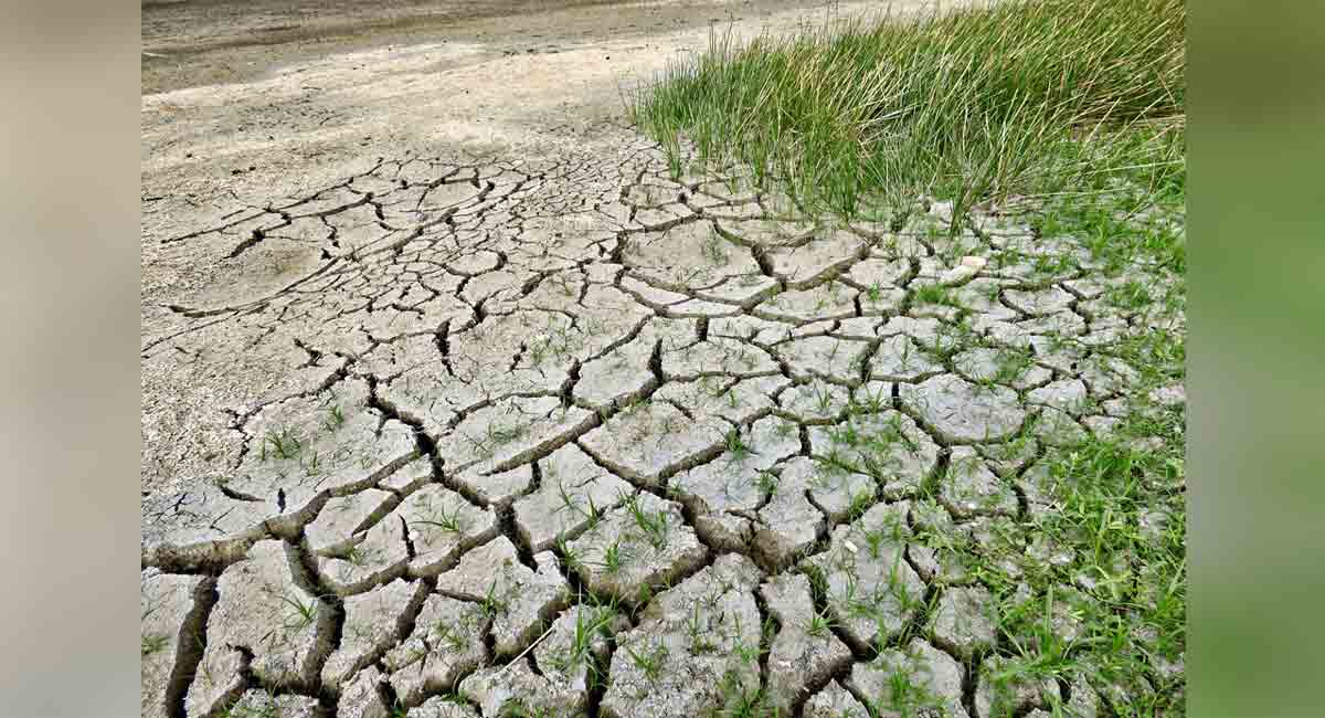 Warming may lead to more frequent, longer-lasting droughts in India: Study