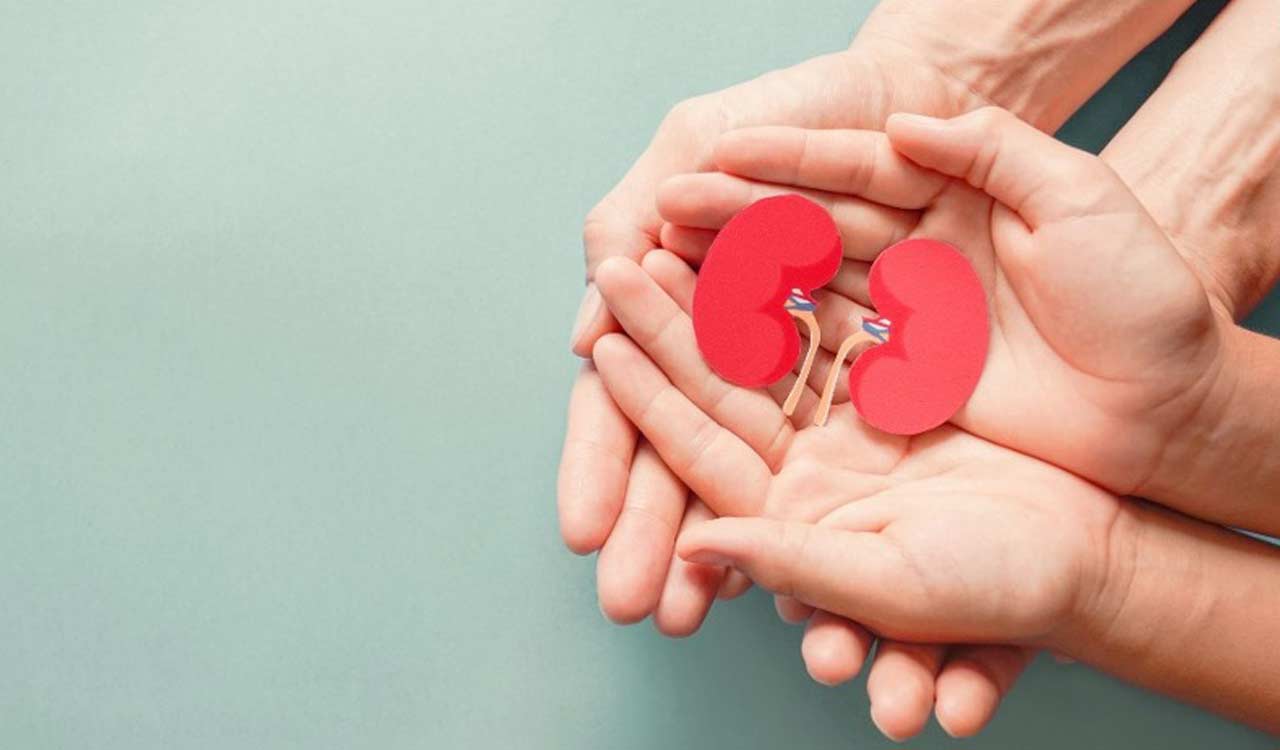 Nephrologists identifies measures to stabilize and slow down the progression of CKD