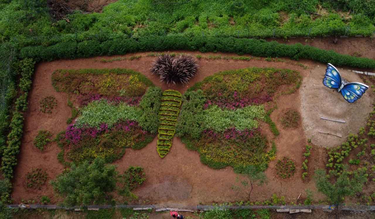 Hyderabad: Botanical garden, place for fun and adventure