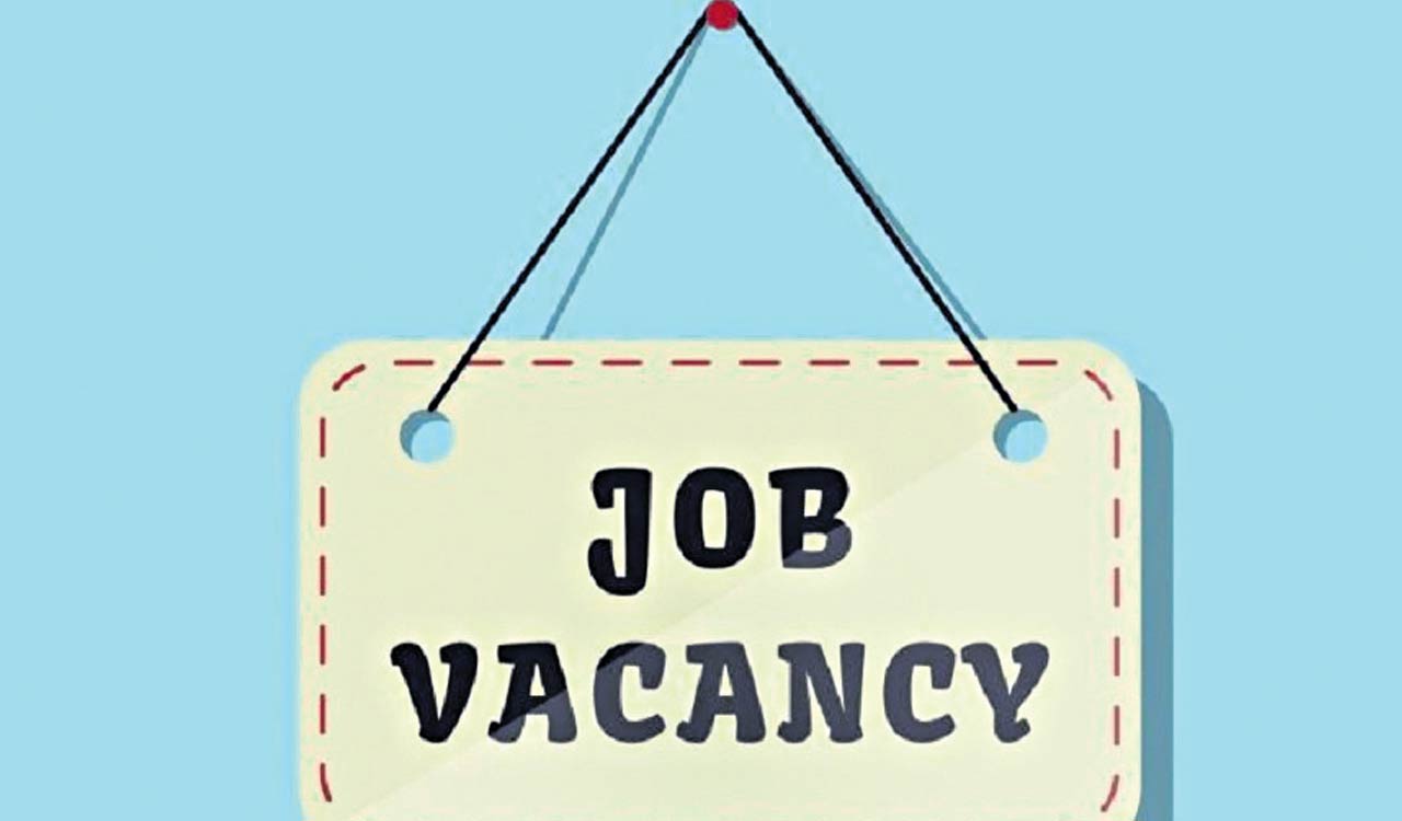 End your job search with DEET