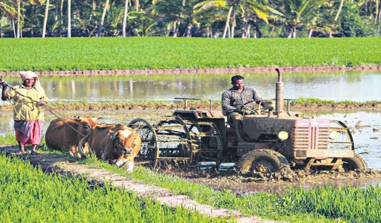 Telangana farmers thrive, others give up