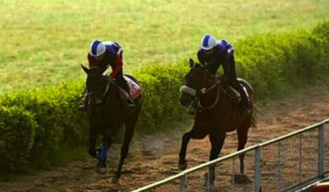 Racing: Barbet fancied for Hyderabad feature