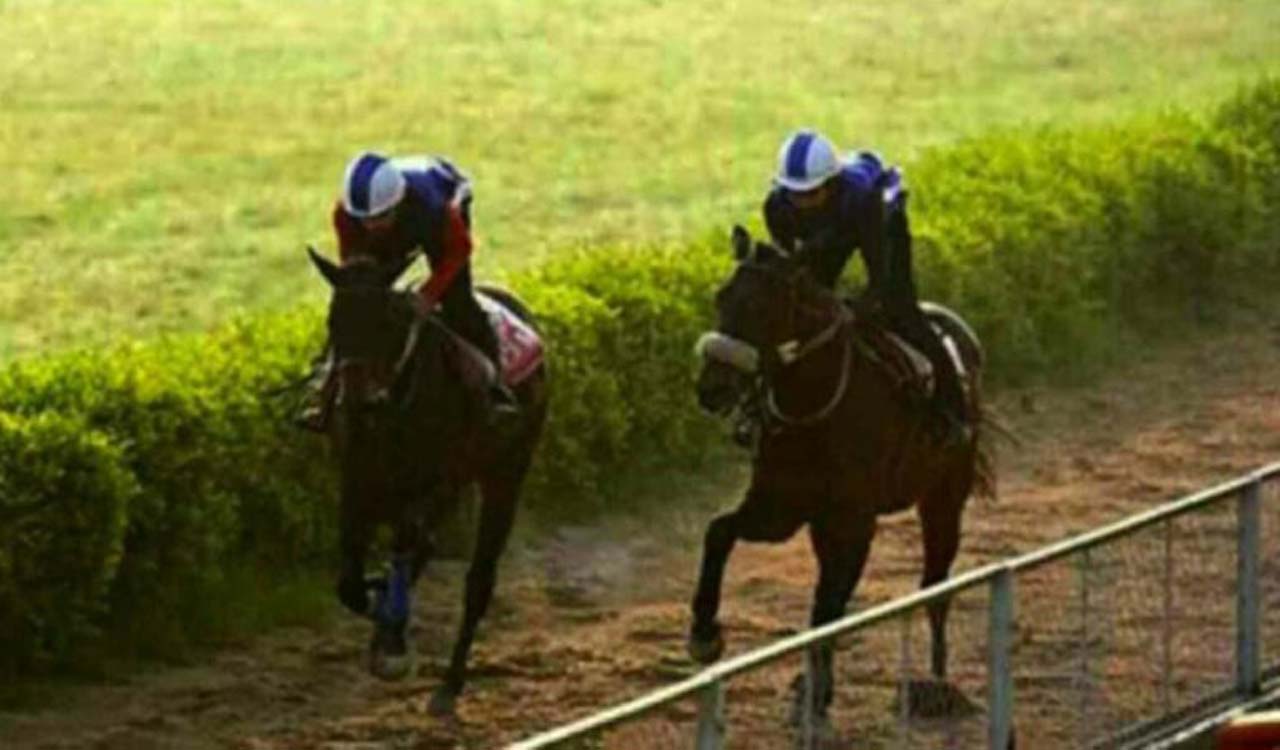 Racing: Corfe Castle and Painted Apache shine in trials