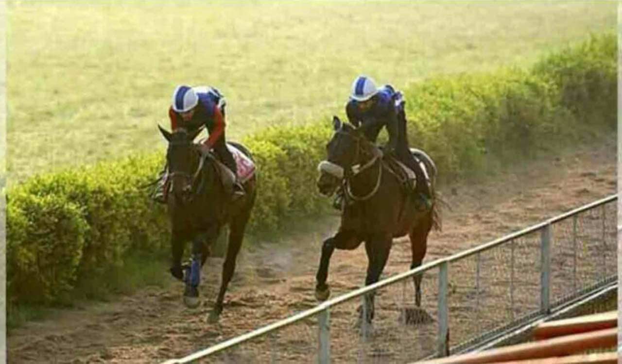 Racing: Arabian Queen, Scramjet, New Look shine in trials