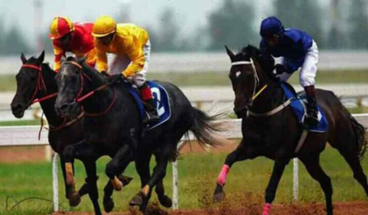 Racing: Ashoka fancied for Hyderabad feature
