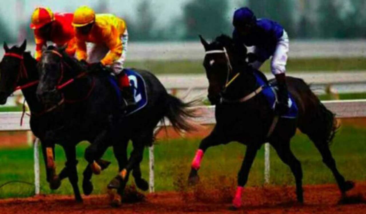 Racing: Knight In Hooves fancied for Mysuru feature