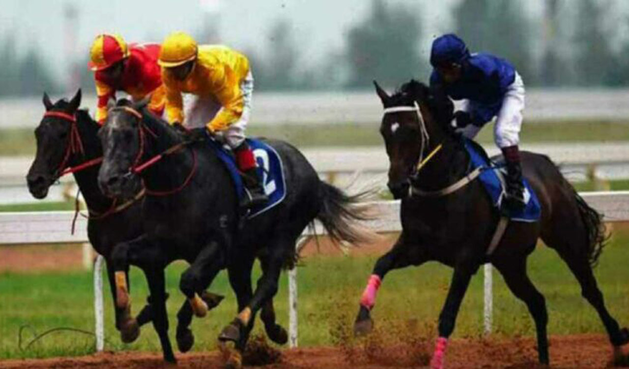 Racing: Moon’s Blessing fancied for Mysuru feature