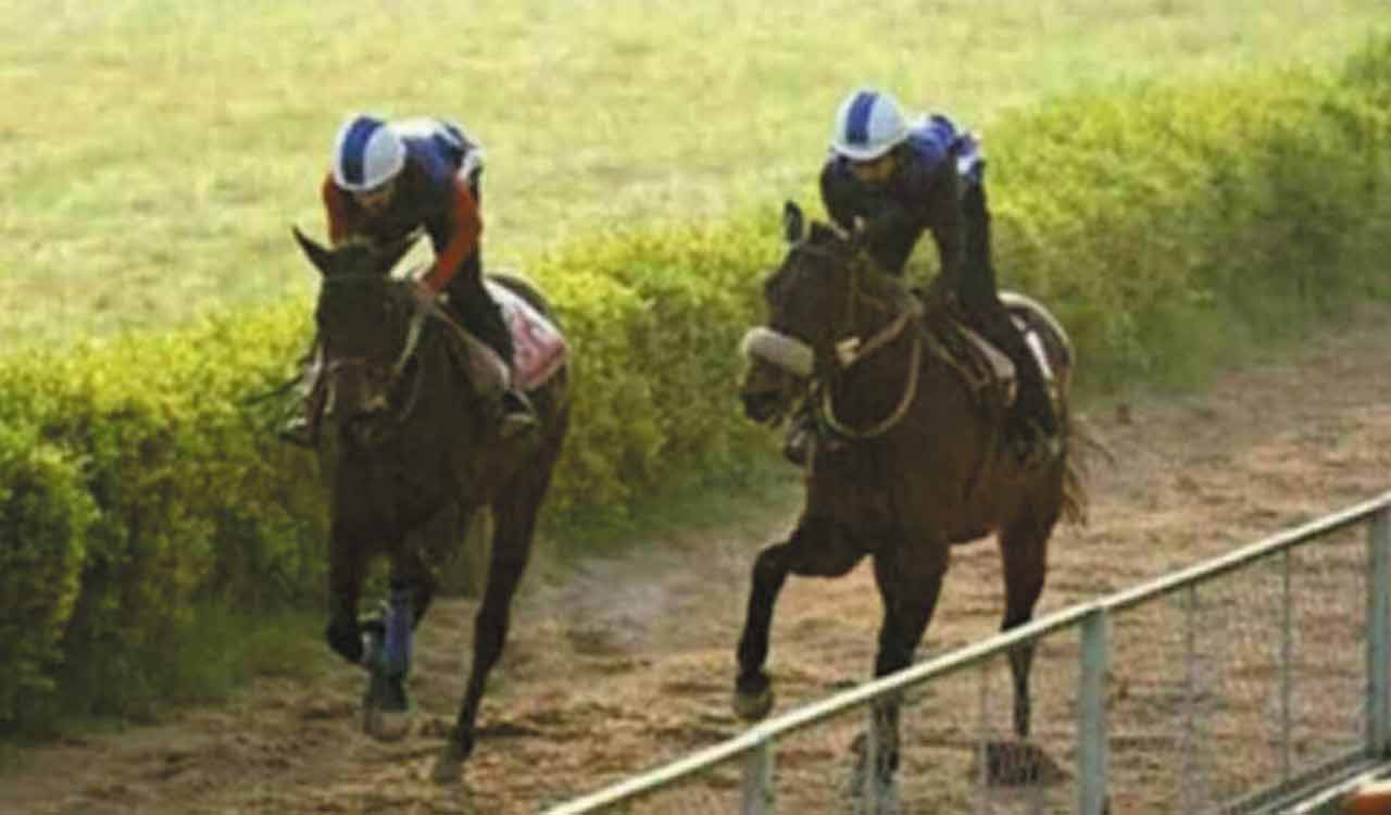 Racing: Sea Of Cortez fancied for Kolkata feature