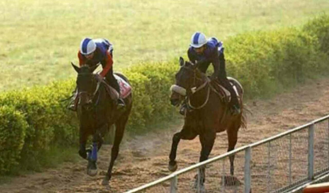 Racing: Fire Power Arba Wahed Arba, Red Snaper and Shah Of Iran shine in trials
