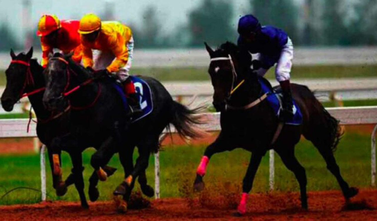 Racing: Amendment has the edge in Chennai feature