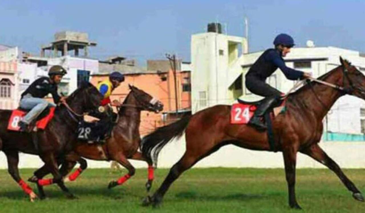 Racing: Knotty Dancer has the edge in Mysuru feature