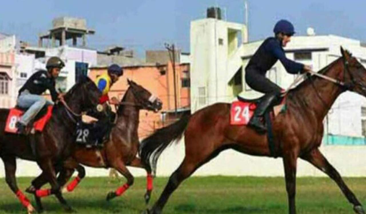 Racing: Watch My Stride fancied for PVG Raju Memorial Cup