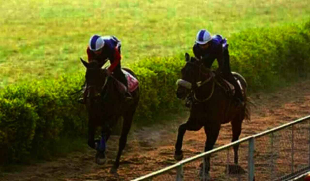 Racing: Wonderfull Lady fancied for Delhi feature