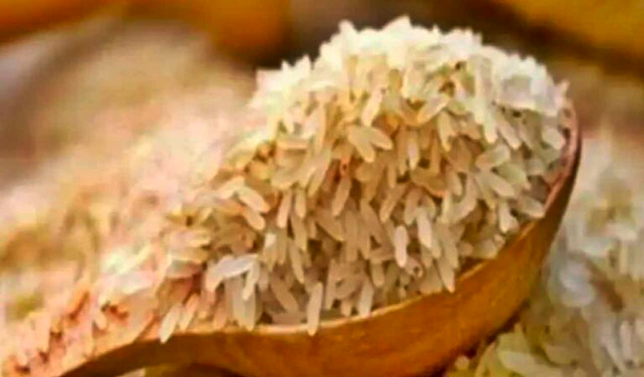 Ban on export of broken rice exposes Centre’s lack of vision