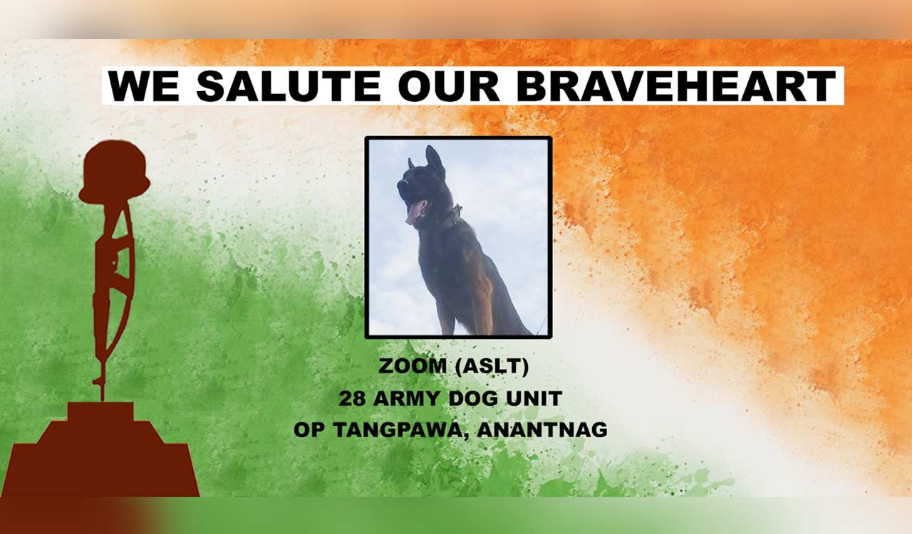 Army’s tribute to ‘Zoom’, the military warrior dog who succumbed after fight with terrorists