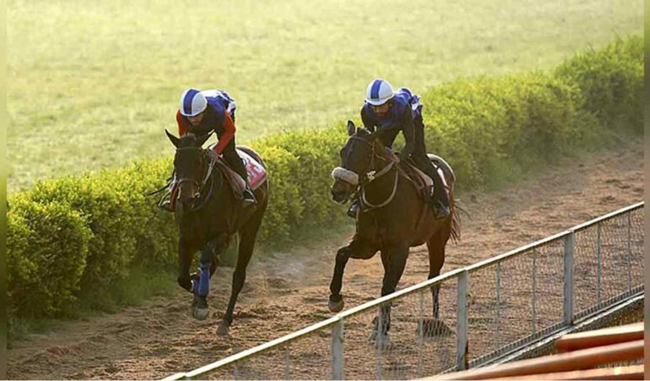 Horse Racing: Bumblebee has the edge in Delhi feature