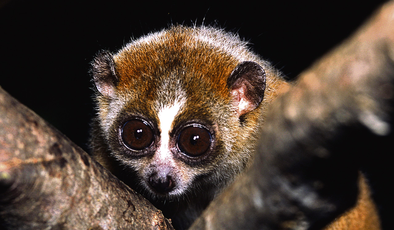 Know all about the environment around you