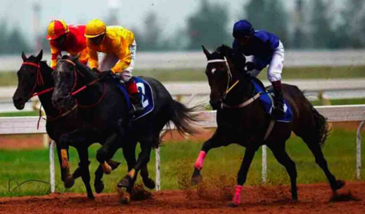 Horse Racing: Carlisle impresses in trials