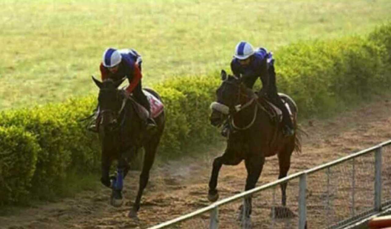 Horse Racing: Campania and Juramento impress in trials