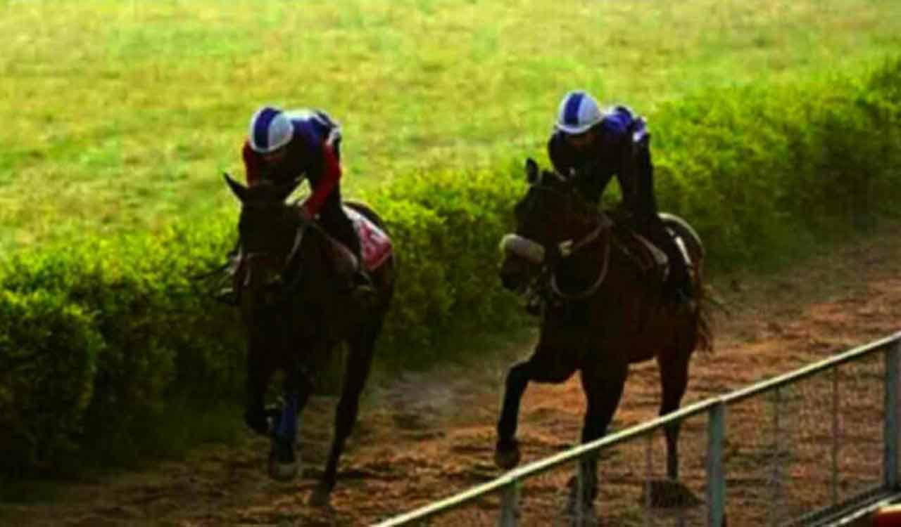 Horse Racing: Icicle fancied for Hyderabad feature