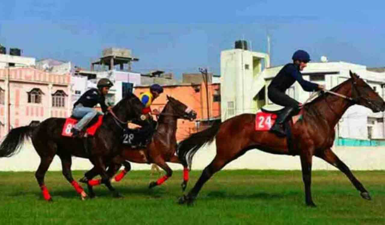 Horse Racing: Polished Girl has the edge in Mysuru feature