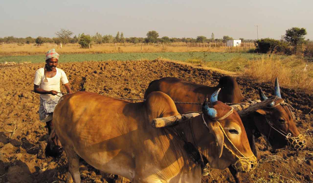 Groundwater depletion more due to human activity than climate change: ICRISAT study