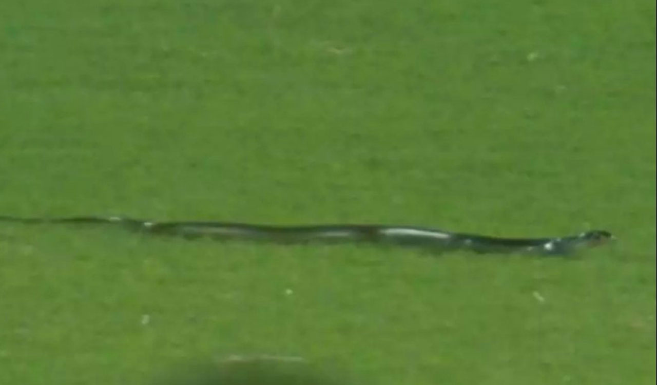 Watch: Snake on field, floodlight failure cause stoppages in second T20I at Guwahati