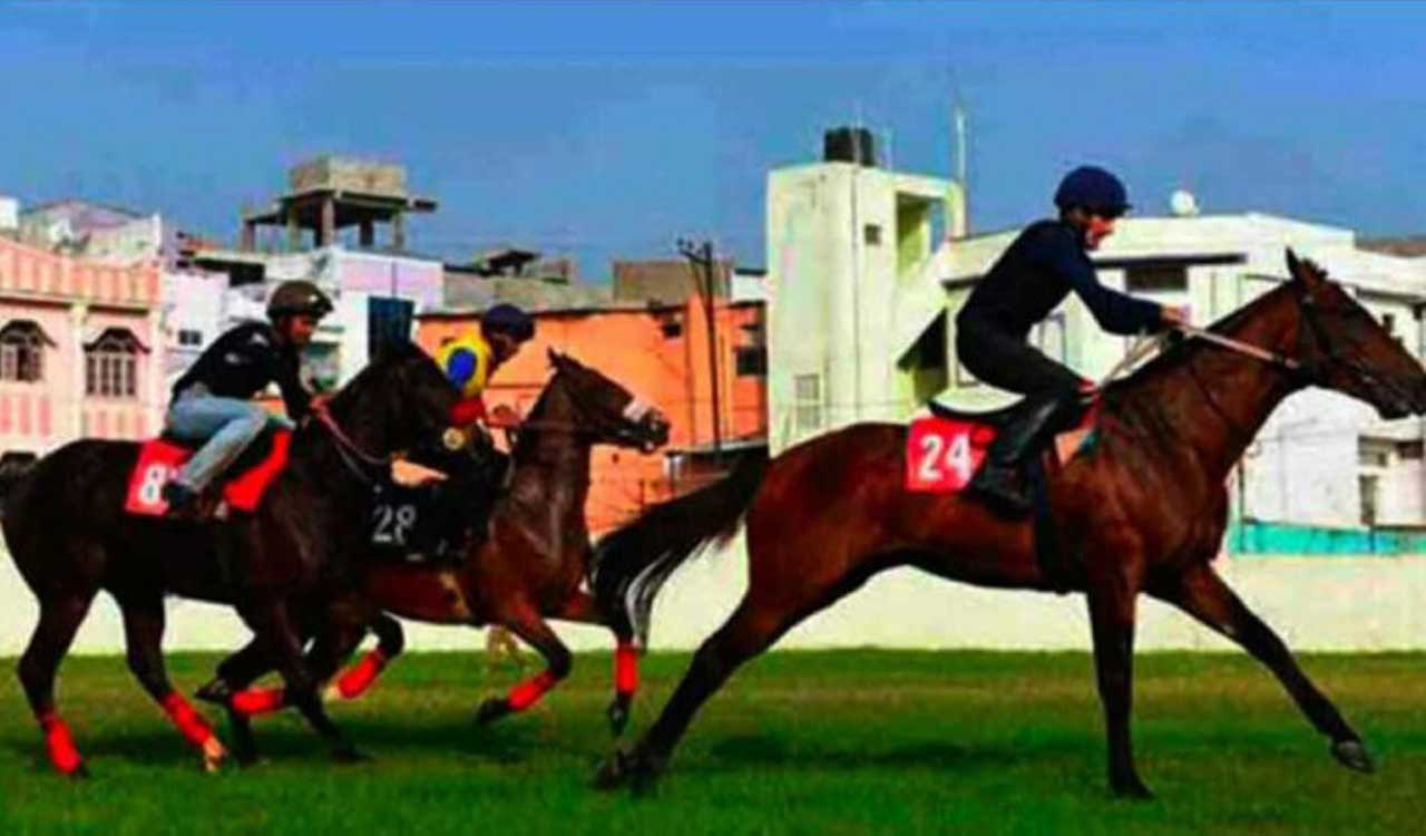 Horse Racing: Once You Go Black fancied for Mysuru feature