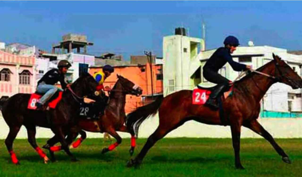 Horse Racing: Knotty Dancer has the edge in Mysuru feature