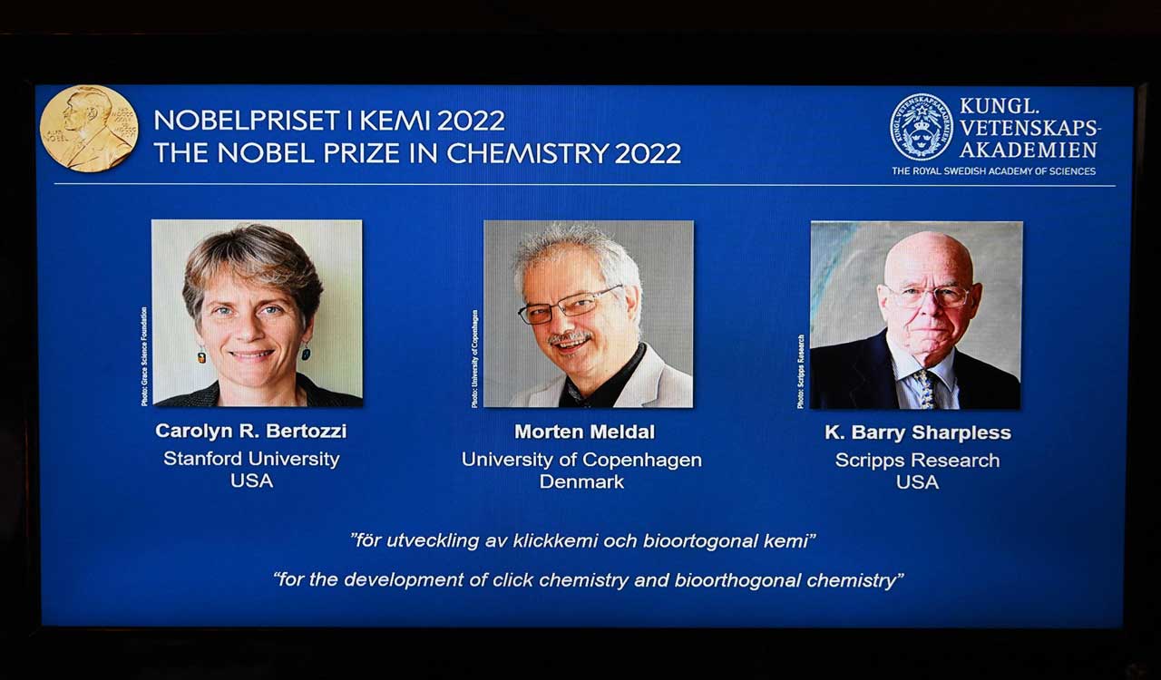 Nobel prize for three chemists who made molecules ‘click’