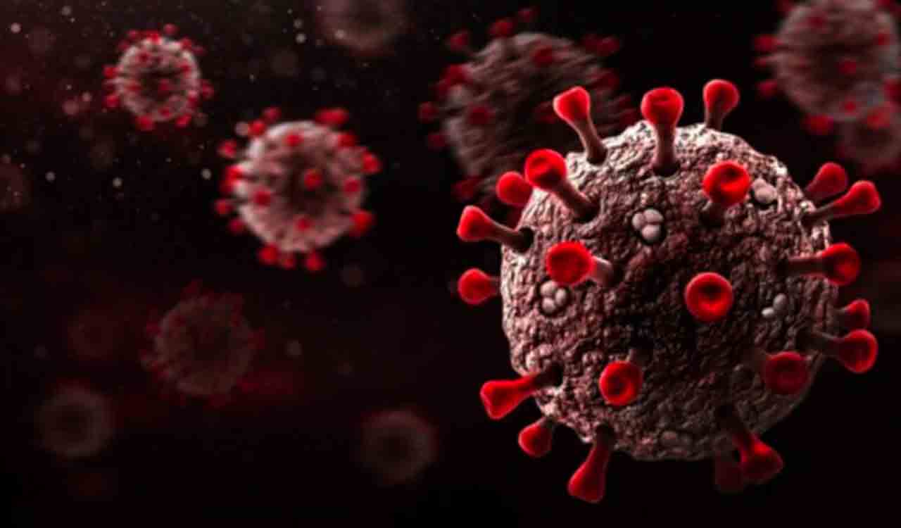 Omicron’s XBB variant emerges as dominant in India, Tamil Nadu tops