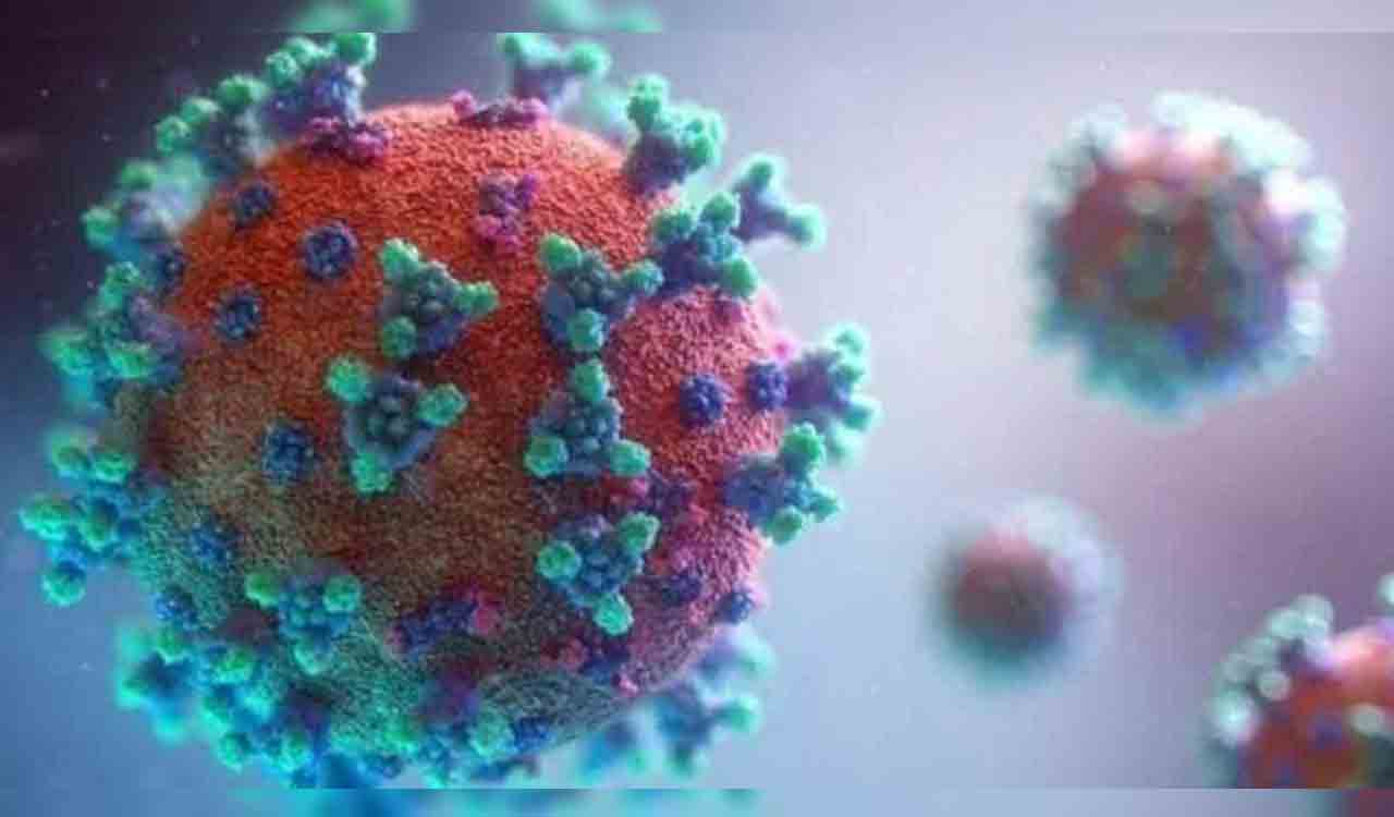 Omicron Covid variant may have originated in animals, study finds