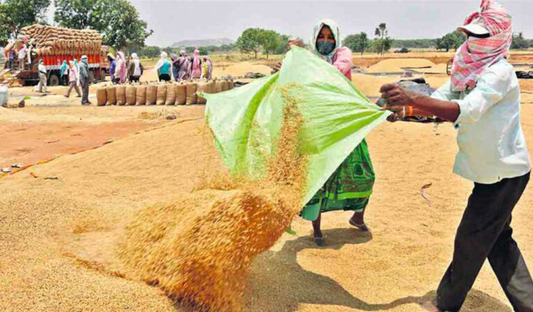 Farmer tries to set paddy on fire in Jagtial