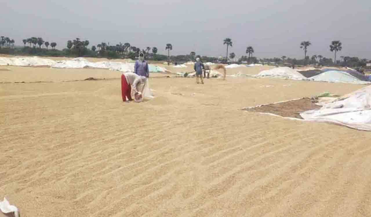 Khammam: Officials gearing up for vanakalam cotton, paddy procurement