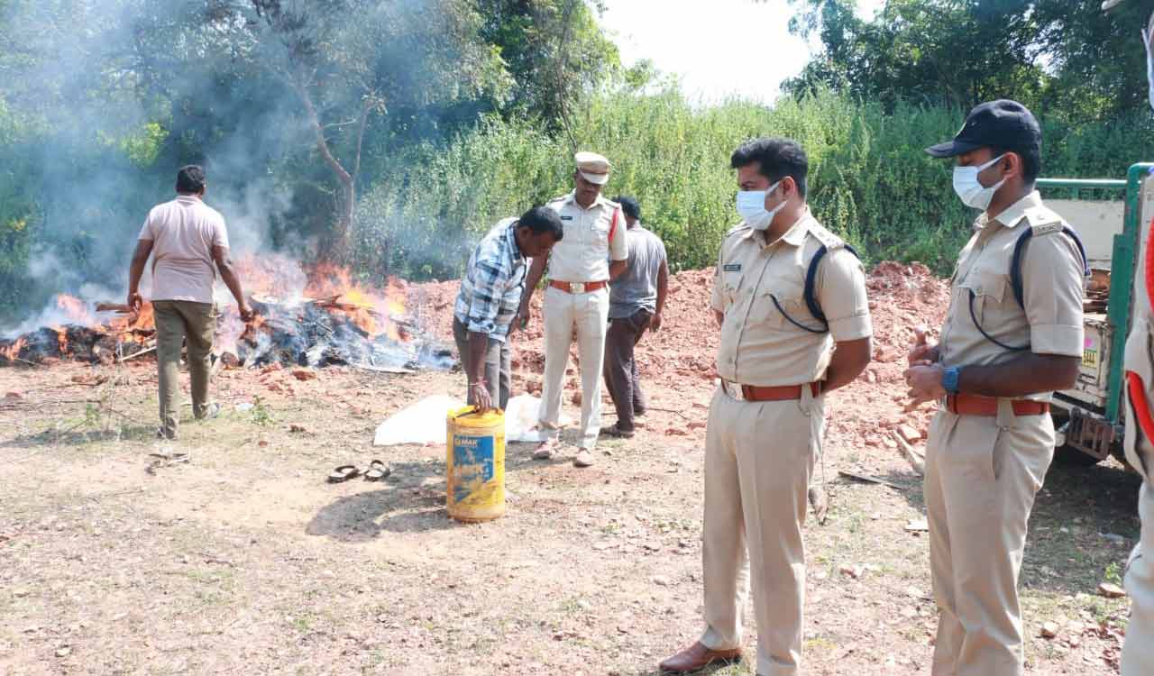 2500 kg of seized cannabis burnt in Khammam
