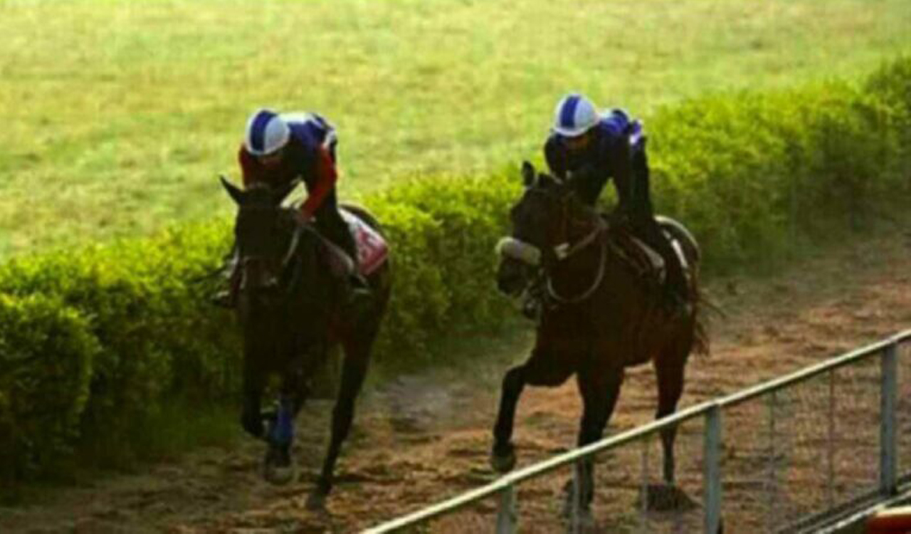 Horse Racing: Ashwa Magadheera fancied for Hyderabad feature