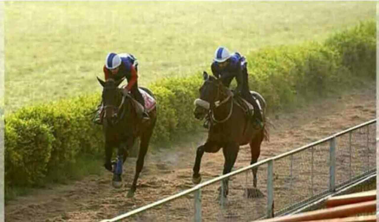 Horse Racing: Wandring Warrior, NRI Touch, Path Of Peace shine in trials