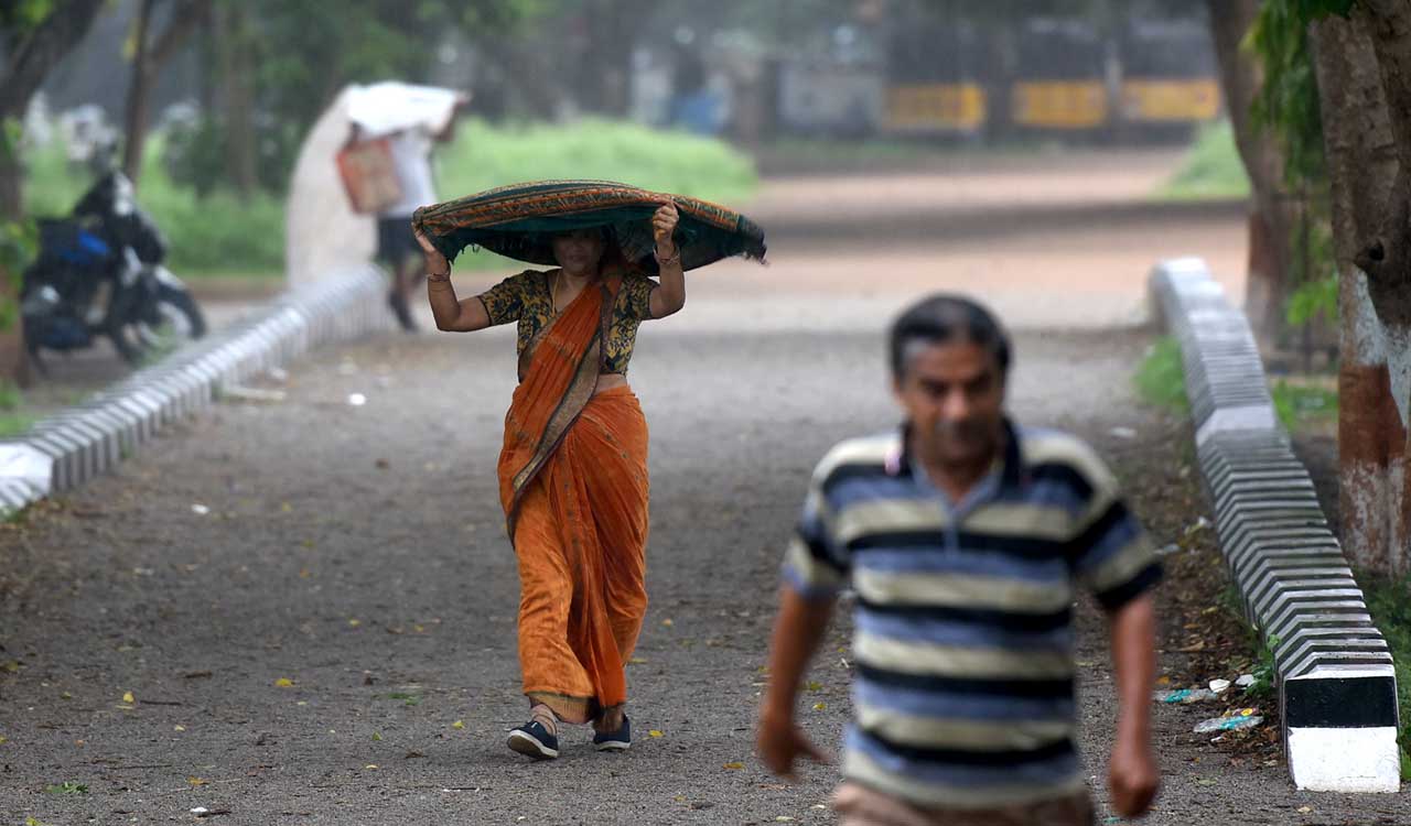 Nirmal, Asifabad sees moderate rains