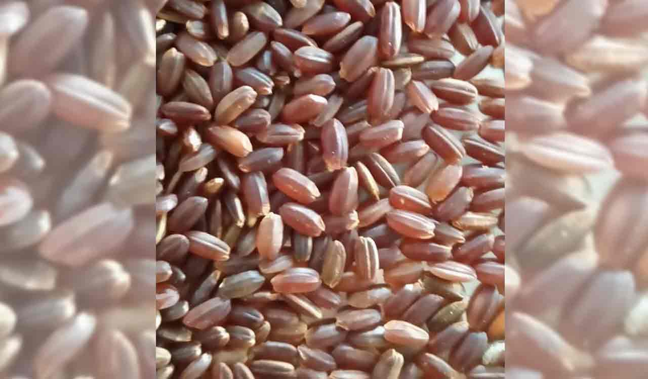 Rice you can eat without cooking gets popular in Karimnagar