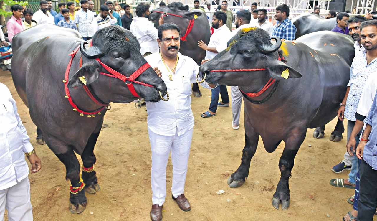 ‘Sri Krishna’ to be show stopper at Sadar festival in Hyderabad