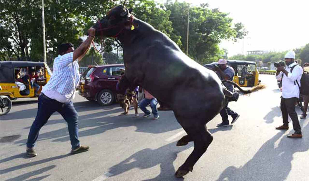Telangana to celebrate Sadar, Doddi Komaraiah’s birth and death anniversaries