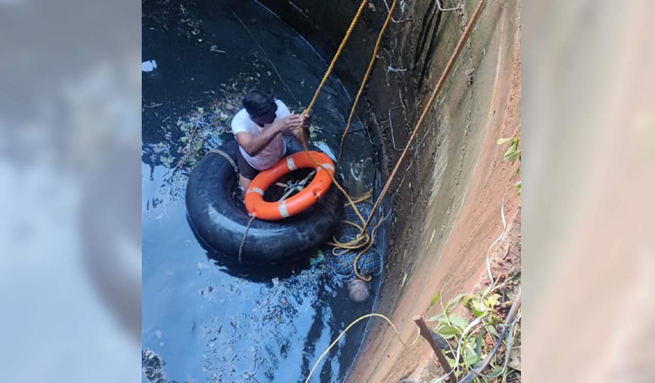 Sangareddy: 75-year-old man falls to death in well