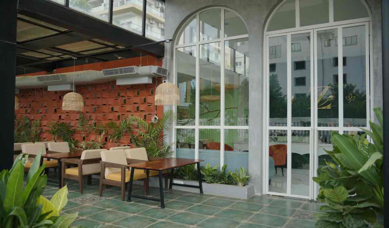 Zen Bowls: Your go to space for fresh, clean and tasty food